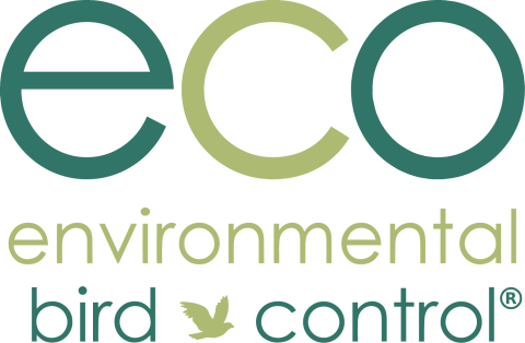 Meet the Tenant: Eco Environmental Services Ltd., Millfields Trust